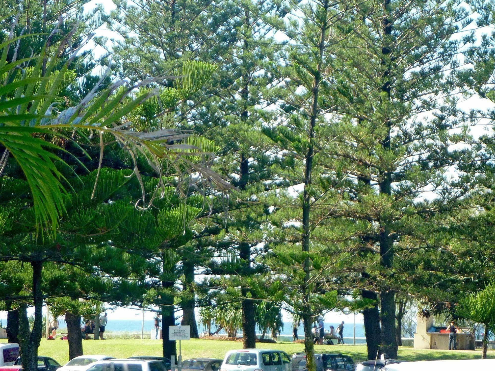 Main Beach Tourist Park Екстер'єр фото